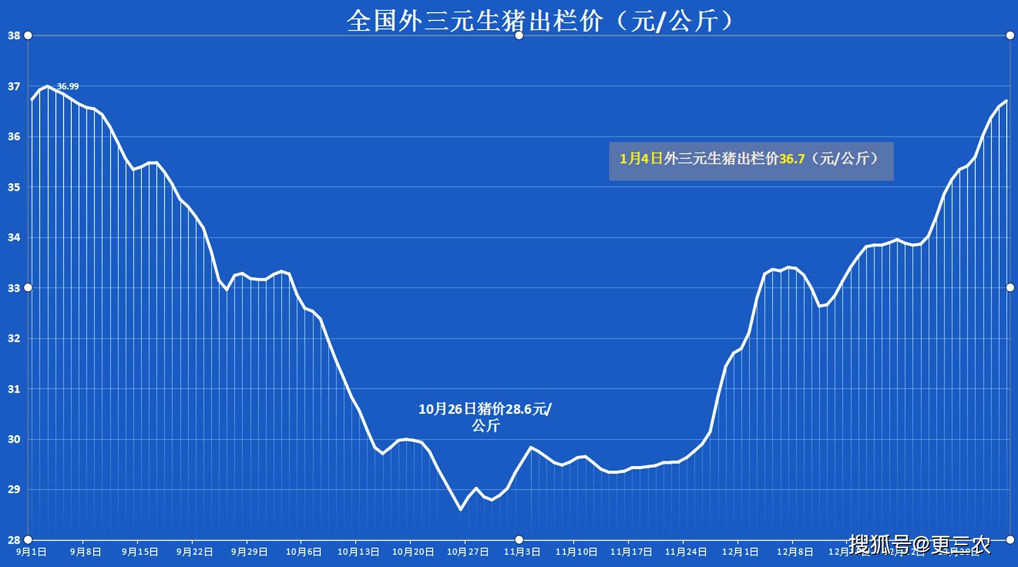 最新猪肉价格最新消息，市场波动背后的原因与影响分析