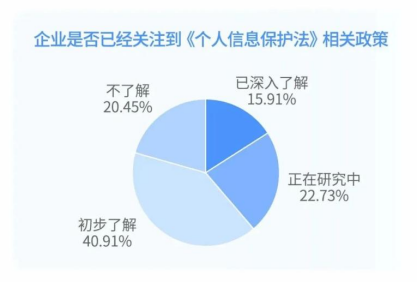 最新申报日期，企业合规与效率并进的催化剂