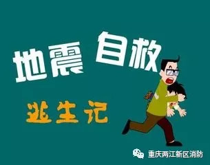 最新火灾心得，从灾难中汲取教训，构建更安全的未来