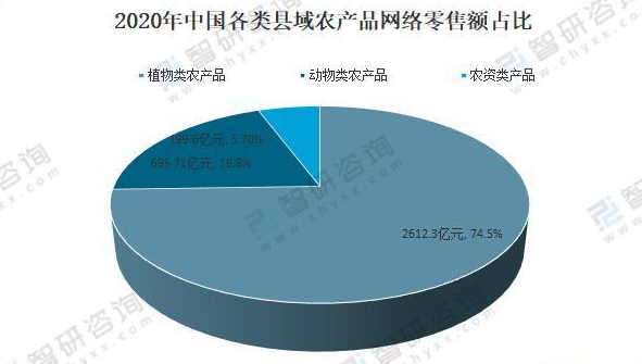 最新门QQ，探索社交新趋势与数字生活的融合