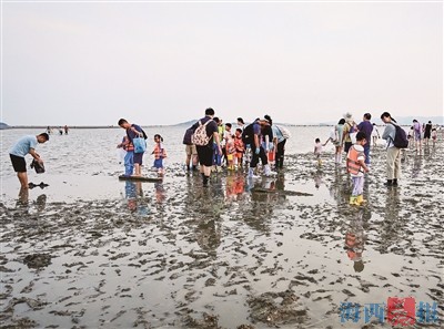 最新小章赶海，探索海洋的奇妙之旅