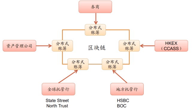 赛特币最新动态，探索数字货币领域的革新与未来