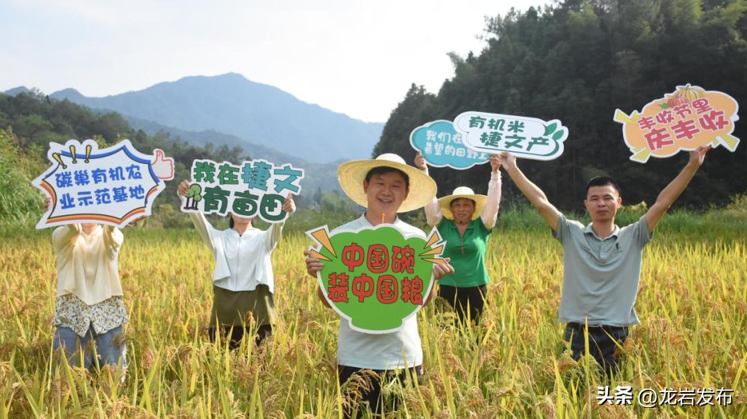 菜老板最新，从田间到餐桌的变革