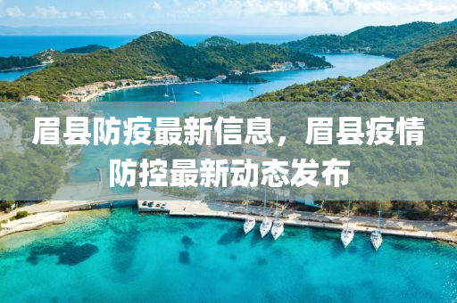 眉县最新疫情动态及防控措施